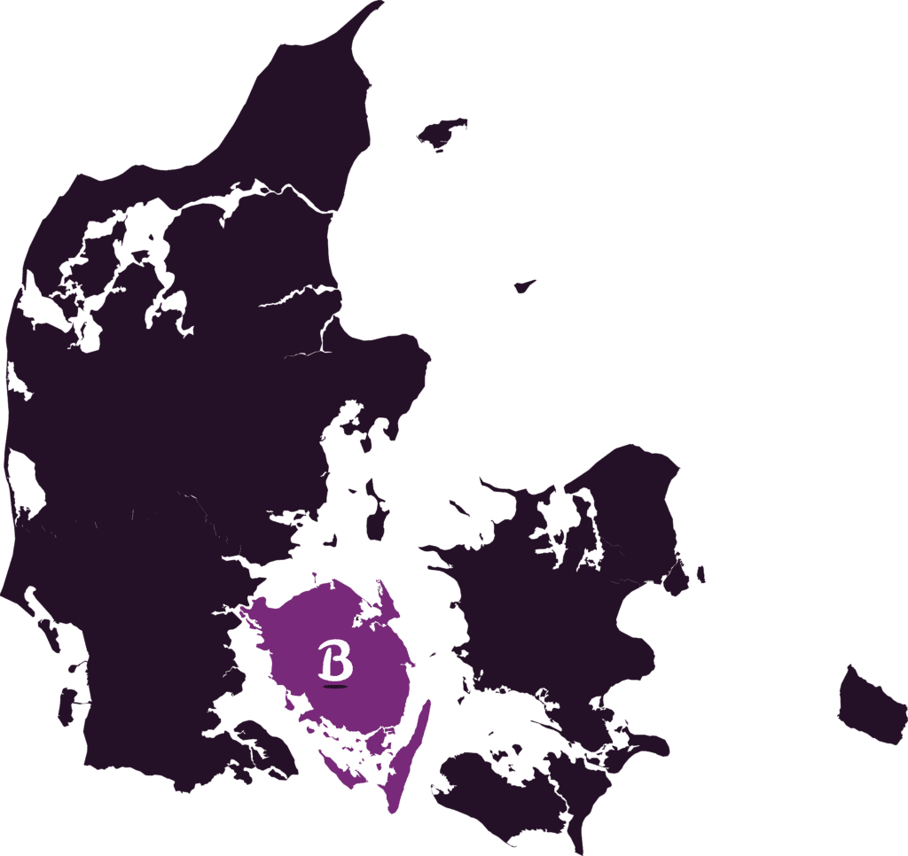Kort over Danmark hvor Fyn lyser op for at understrege Studenterkørsel på Fyn